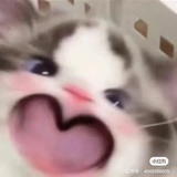 退退退