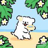每天开欣Dl