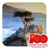 豆友wZ_U921cAY