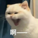 山坡二十七