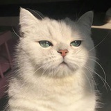 叫什么名字啊