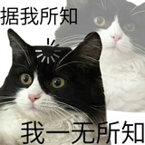 摸鱼卷