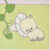 豆友Pr-cX9Nvyc