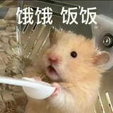 豆友274311163