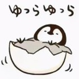 豆友CsmORyqUUg