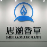 思邈香草