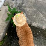 遂愿