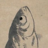 咸鱼一只