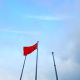 北极猫儿