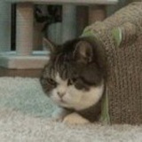 豆友CtvFBOslf0