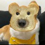 豆友0mLx7ANPi8