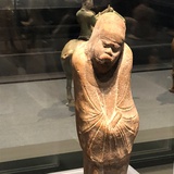 shashakaka重生