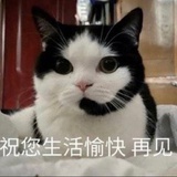 momo琦