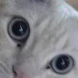 豆友IfmVPfp8IQ