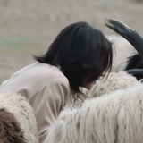 豆友274795538