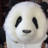 萌兰