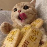 起个啥名好听呢