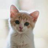 豆友2h0FH5Ob2s