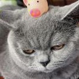 豆友0K1Aq4PpHU