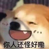 Coinsini
