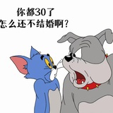 浙小豆