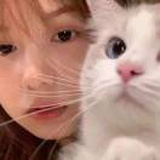 momo