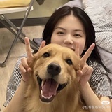 杳杳