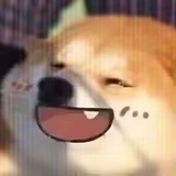 豆友275406566