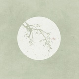 茴香豆