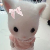 小里秋菜