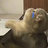 精神状态不详