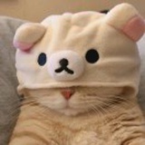 爱生活爱翻书