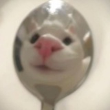 讨厌玩手机