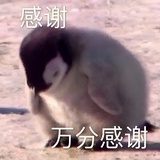 之于