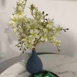 摸不着的豆子
