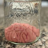 嘘:)别说话