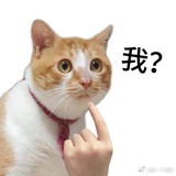 快乐的鸡蛋黄