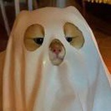 小巴