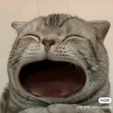 豆友dfaee.0545