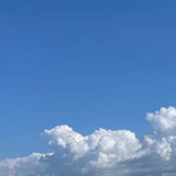 蔡