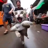 靓仔