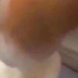 老猫