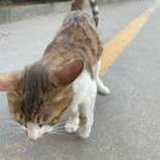 蹦蹦哒哒