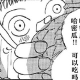 古蕨回忆