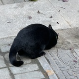 哦