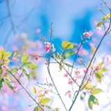 豆友QqXQQv_6Wk