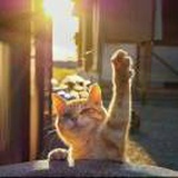 豆友4wDrdy97p4