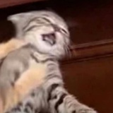 一一一