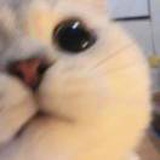 豆友55V3bsCcUw