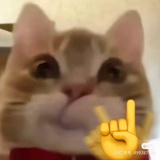 jj